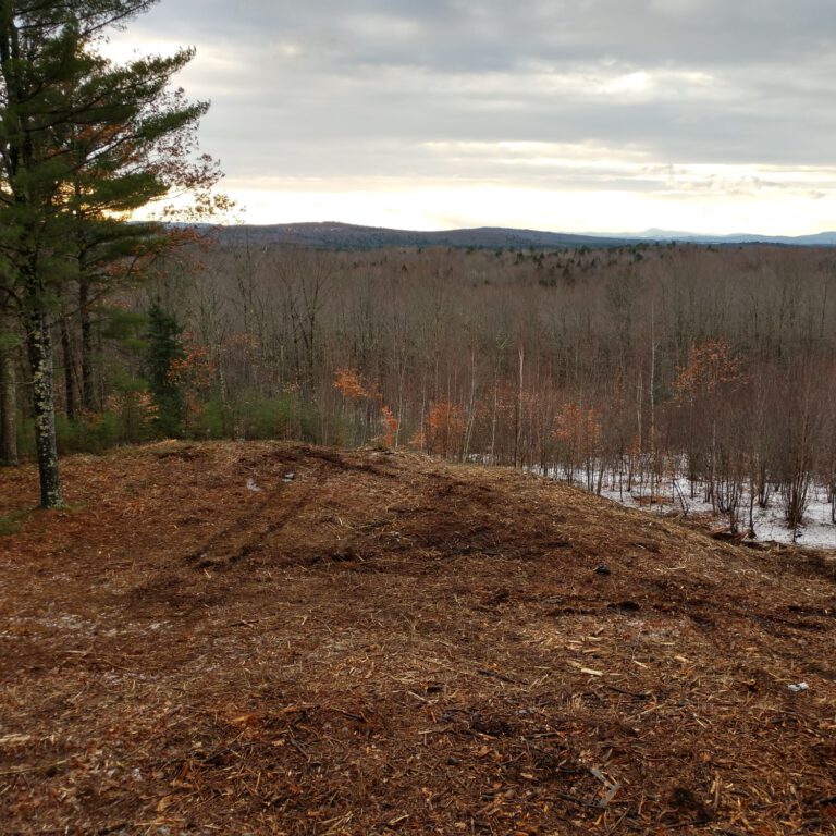Forestry Line Raking Forestry Mulching – Cipp's Power Line Construction